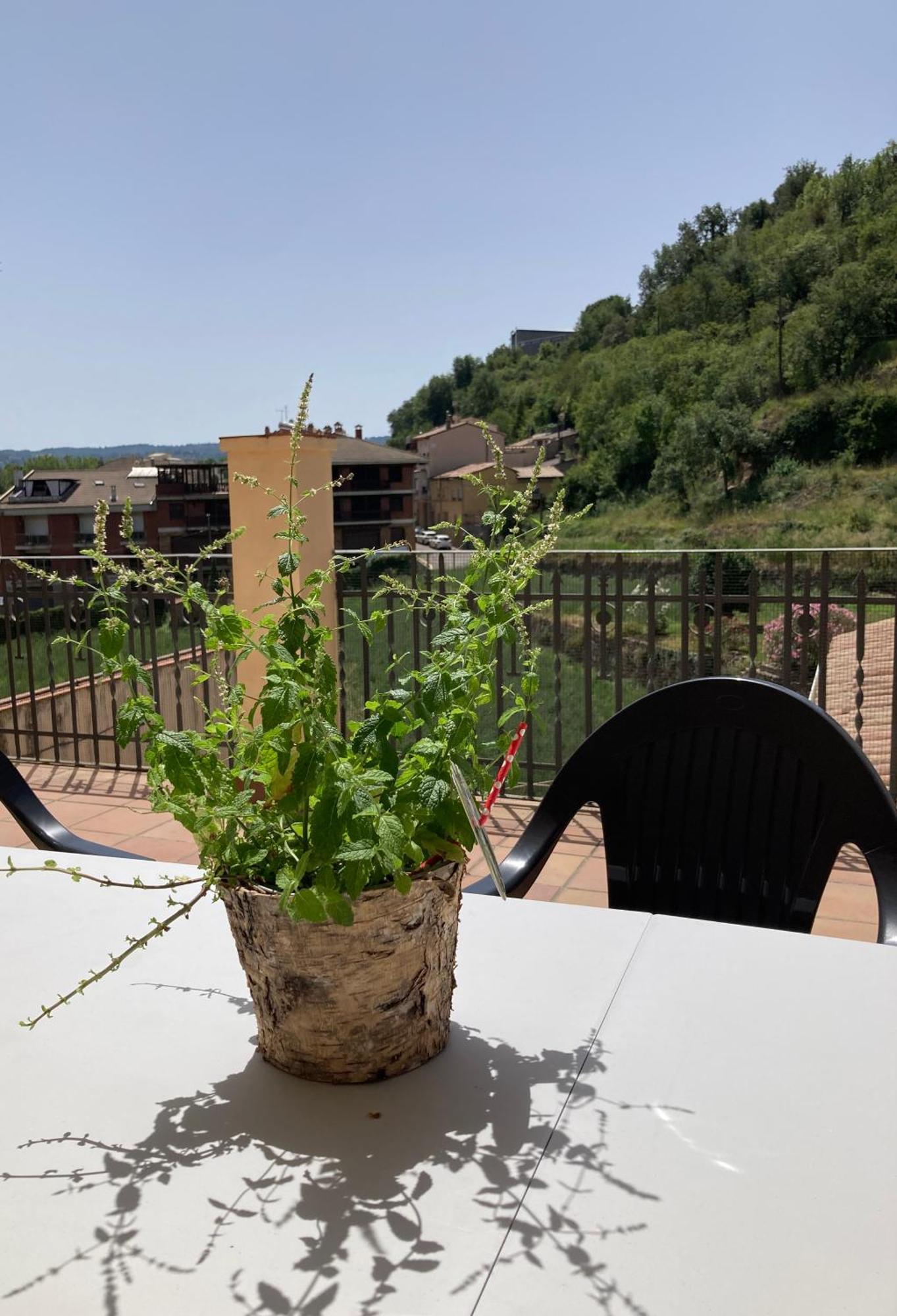 Apartament La Perla Gironella Buitenkant foto